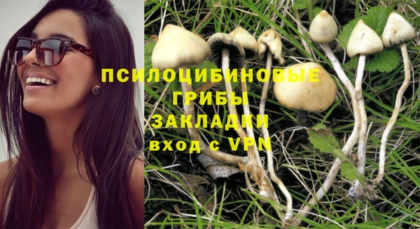 бошки Абинск